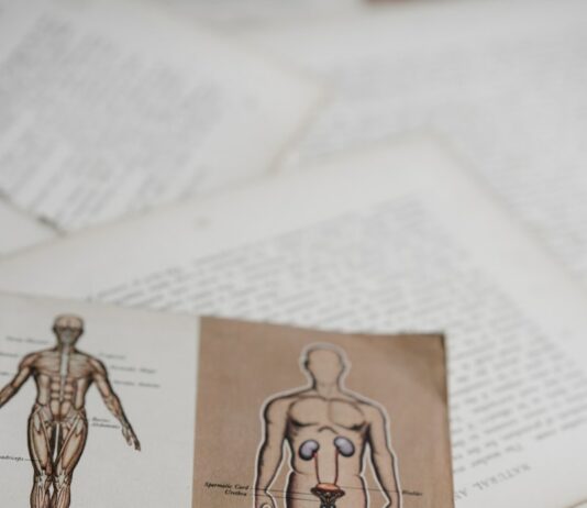 정부 “27년 만에 의대 1509명 증원…내년 총 4567명 모집” shallow focus photo of book page