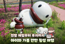 찐빵 체험부터 루지까지…아이와 가볼 만한 횡성 여행