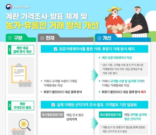 계란 산지가격 고시 60년 만에 폐지…깜깜이 거래 사라진다