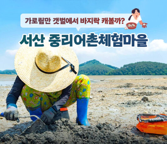 가로림만 갯벌에서 바지락 캐볼까? 서산 중리어촌체험마을