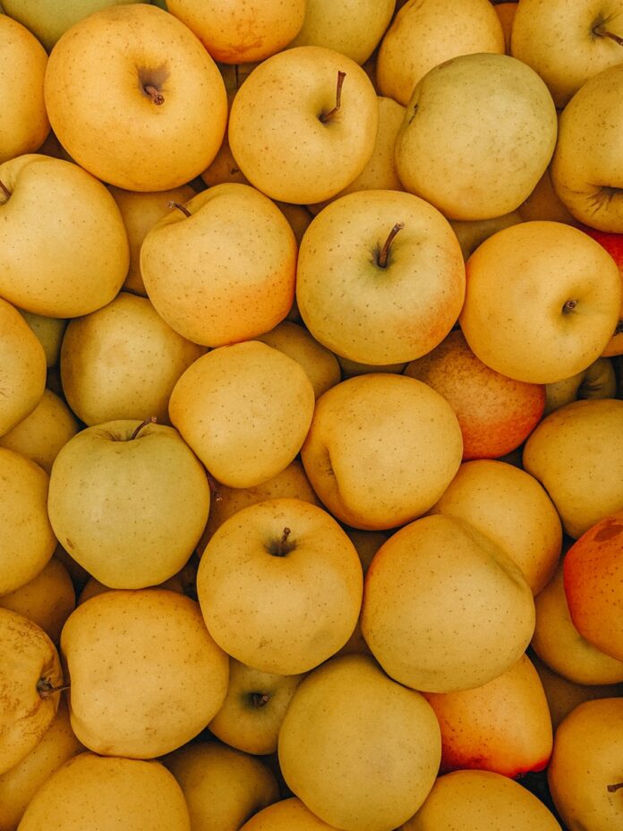 Photo by Sasha Pleshco a pile of potatoes