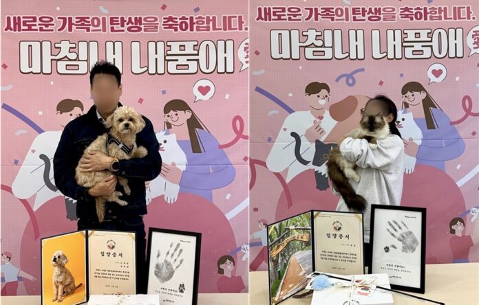 서대문내품애(愛)센터의_유기동물_입양_기적_계속된다