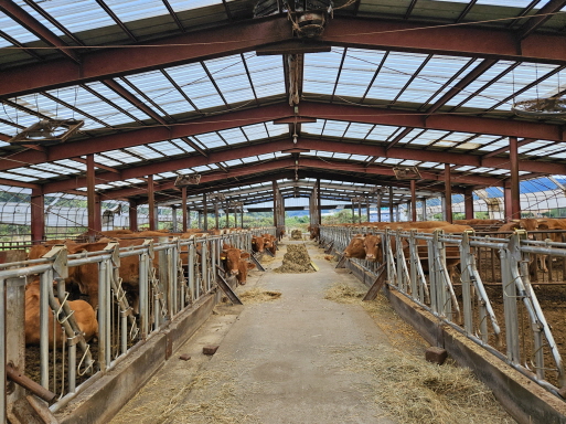 9. ‘수질오염 방지’…파주시, 축산농가에 가축분뇨 수거운반비 지원