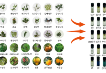 ‘향기’로 기억되는 숲, 생물다양성의 가치를 밝히다!