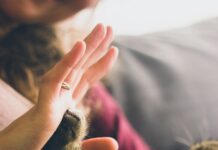 건강한 삶, 반려동물과 함께”…2030세대의 웰니스 루틴에 ‘펫’이 있다 tabby cat touching person's palm