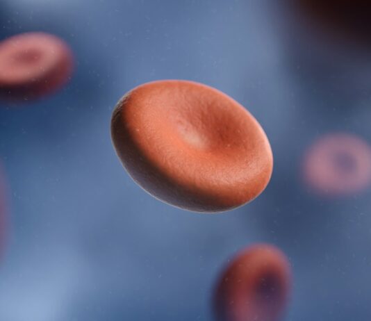 “낮에도 하품이 멈추질 않아요”… 혹시 ‘철분 부족’ 때문일 수 있습니다 a group of red blood cells in a vein