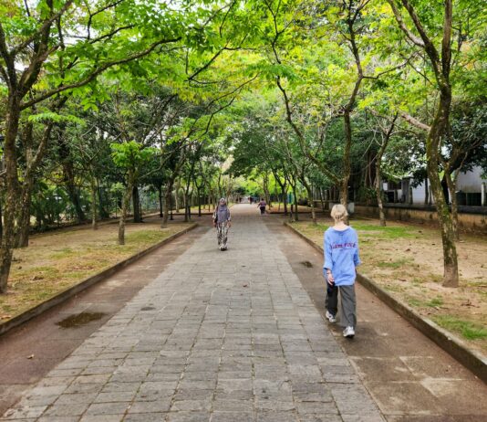 바쁜 직장인, 건강을 지키는 스마트 라이프 실천법 Two people walking down a path in a park
