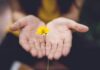 ‘마음 챙김’이 새로운 건강 공식… 일상 속 정신건강 실천법 주목 selective focus photography of woman holding yellow petaled flowers