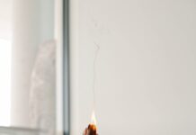 대체요법, 건강 관리의 새로운 바람…한국인의 일상 속 활기 찾기 person holding orange flower in front of white wall